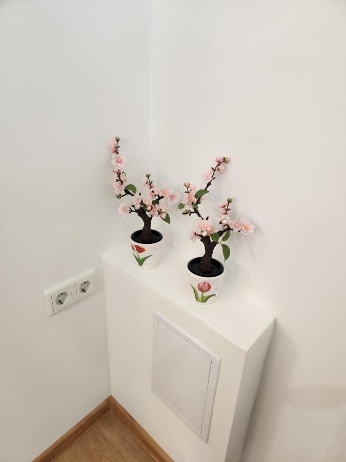 Apartman Zagreb Cca 42M2 With Free Parking Eksteriør bilde