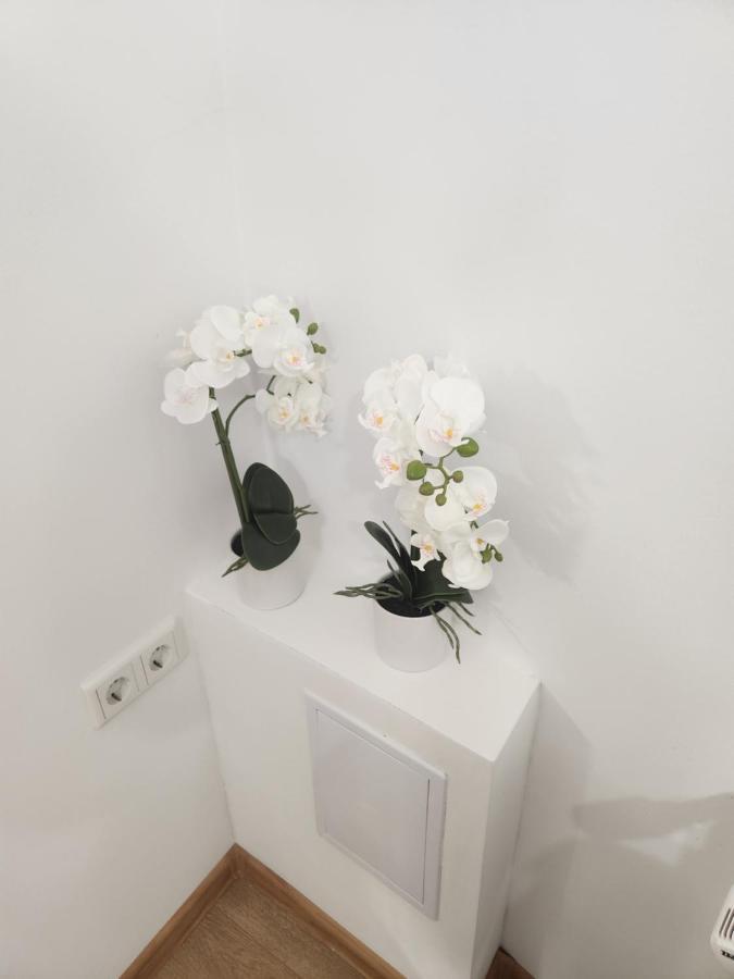 Apartman Zagreb Cca 42M2 With Free Parking Eksteriør bilde